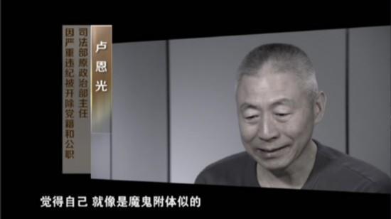 近日热播的《巡视利剑》首次披露了被中央巡视组揪出的王珉、王三运、苏树林、卢恩光、王保安等十几名落马高官的忏悔。